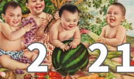 娱乐吃瓜图鉴在哪看,全网热门内容一键掌握